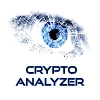 Crypto Analyzer logo - Similar company to Cryptoanalyst