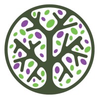 Broken Nature logo - Similar company to Monterola Corporation
