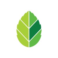 Mint Agencia Digital logo - Similar company to Mint Agency