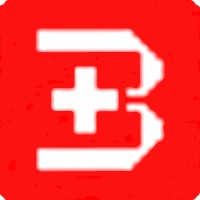 Bhojpur Consulting Private Limited logo - Similar company to Softronikx Technologies And Solutions Pvt Ltd