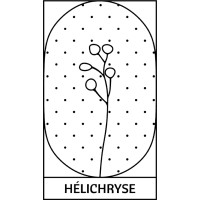 Éditions Hélichryse logo - Similar company to Institut Pandore