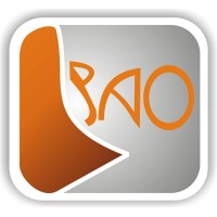BAO Consultancy Services Limited logo - Similar company to Flexedge Limited