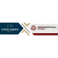 Coolabah Metals Ltd (ASX:CBH) logo - Similar company to Hellyer Metals