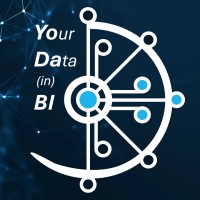 YoDaBI Consulting logo - Similar company to Corrode – Rust Consulting