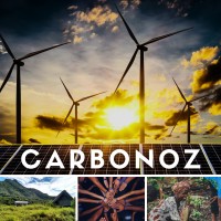 CARBONOZ logo - Similar company to Solarassistant