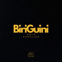 Biriguini logo - Similar company to Capital Gateway Partners - Cgp