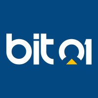 Bit01 Techplode Private Limited logo - Similar company to Innovatics