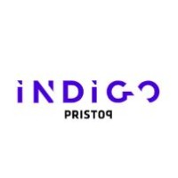 Indigo Consulting logo - Similar company to Vision Partners