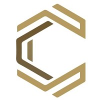 Champion for Information Technology logo - Similar company to Sanad Erp سند