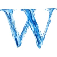 W Companies logo - Similar company to Synrgs