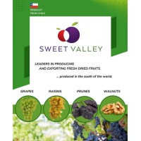 Sweet Valley Chile logo - Similar company to Gaderia