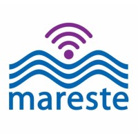 Mareste Equipamentos e Serviços de Telecomunicação Ltda. logo - Similar company to Telnav