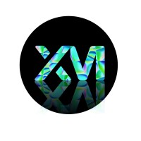 XtremeAD Media Solutions logo - Similar company to Crazy Dots Digital