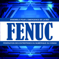 Fédération des Entreprises du Numérique du Congo - FENUC logo - Similar company to Fédération Des Chefs D'Entreprises Du Québec