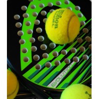 PADELNAUTAS logo - Similar company to Cuorementelab Centro Clinico E Di Ricerca