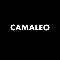 Camaleo Cinema logo - Similar company to Icet Studios S.R.L.