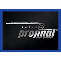 Projinal logo - Similar company to Simtek