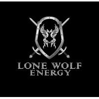 LoneWolf Energy Nigeria logo - Similar company to Hetom Innovations Ltd