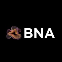 BNA (Blend Nexus Agency) logo - Similar company to Media Solutions