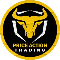 Price Action Trading logo - Similar company to Price Action Course