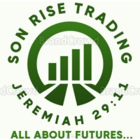 Son Rise Trading LLC logo - Similar company to Chucktown Tom Llc