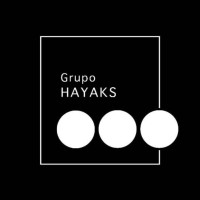 Grupo Hayaks logo - Similar company to Wiselife
