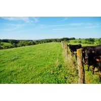 Novinger Farms logo - Similar company to Events By M, Ltd