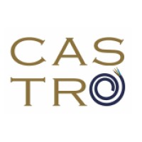 Castro Electrical Services logo - Similar company to Temperaturepro Milwaukee
