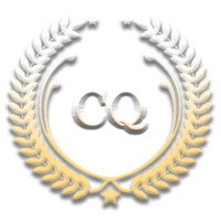 CodeQuest logo - Similar company to A1 Source