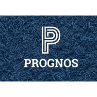 Prognos Consultoria logo - Similar company to Prognos Mka
