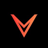 Visz.Dev logo - Similar company to Ctrl + Play Recife