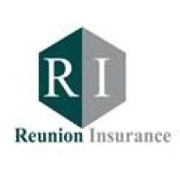 Reunion Insurance Company Limited logo - Similar company to Globe Internet Limited