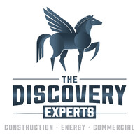 The Discovery Experts logo - Similar company to Construction Discovery Experts