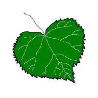 Lindevang