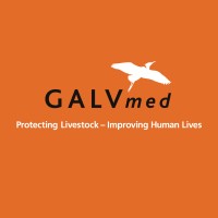 GALVmed logo - Similar company to Afrivet - A Bimeda Company