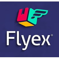 Flyex Courier & Logistics Ltd logo - Similar company to Bfd Partners