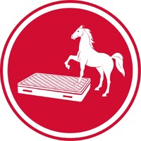 Sleep High Egypt logo - Similar company to Sleephigh