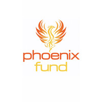 Phoenix Fund logo - Similar company to Opus8, Inc.