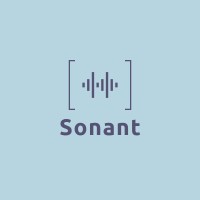 Sonant Consulting Group logo - Similar company to Vokol - Voip Phone Systems