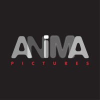 Anima Pictures logo - Similar company to Kube Studios