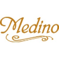 Medino logo - Similar company to Stanić