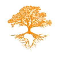 Learning Innovation Africa logo - Similar company to She Ignites | Career & Promotion Experts