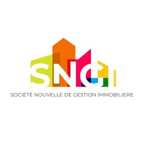 SNGI logo - Similar company to Amhc