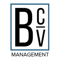 Bayou City Vista Management logo - Similar company to Blue Clarity