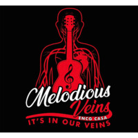 Melodious Veins logo - Similar company to Starbridge