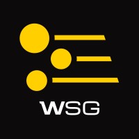 WSG logo - Similar company to Dgi Geoscience Inc.