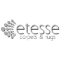 Etesse Private Limited logo - Similar company to The Ritz-Carlton, Chengdu