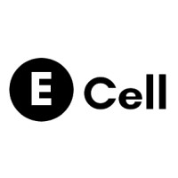 The Entrepreneurship Cell, Aryabhatta College, Delhi University logo - Similar company to E Cell, Rlac