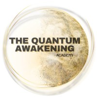 THE QUANTUM AWAKENING ACADEMY logo - Similar company to Eduka