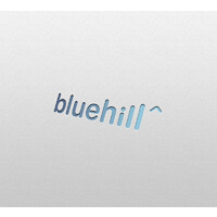 Bluehill logo - Similar company to Dolnośląska Agencja Współpracy Gospodarczej